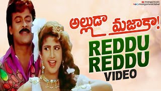 Alluda Majaka Telugu Movie Songs | Reddu Reddu Music Video | Chiranjeevi | Rambha | Koti