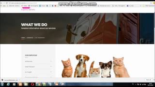 Courier Website with with web integrated tracking script