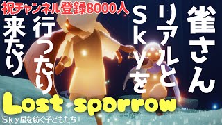 Eng sub【書庫雀】雀さんリアルとSkyを行ったり来たり Lost sparrow【Sky 星を紡ぐ子どもたち】Sky: children of the light #switch