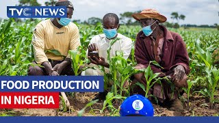 Public Affairs Analyst Nelson Ekujumi Speaks On Food Production In Nigeria