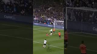 Goals Erik Lamela 🔥🔥 || Tottenham vs Brighton - Premier League #Shorts #Tottenham #FansSpurs