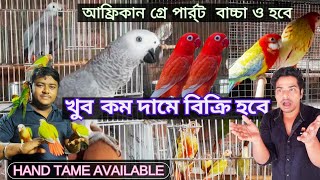 কম টাকায় ভালো পাখি 💰💰 Biggest farm of exotic birds 🛑 #animelsloverclub #africangreyparrot