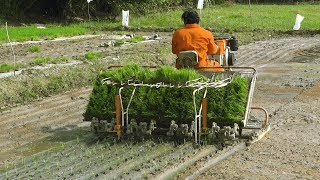 Copy of Redlands Rice transplanter