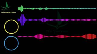 LFZ - Echoes #LFZ #Echoes [Audio Visualizer] #AudioVisualizer #HouseMusic | TTA Spectrum