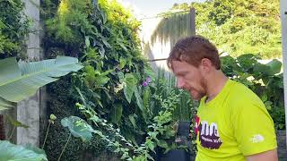 Installing irrigation for living wall