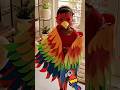 Fancy Dress Competition|Bird |how to make wings #fancydresscompetition