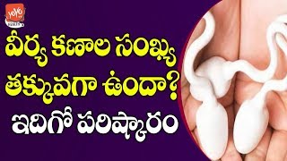 పురుషుల్లో వీర్య కణాలు పెరగాలంటే ఇలా చేయండి | Increase Sperm Count In Men Telugu | YOYO TV Health