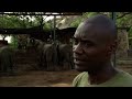 Elephants - Back to the Wild (never before seen footage)  Full Documentary