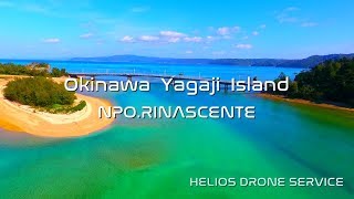 沖縄  ピュアロード屋我地島