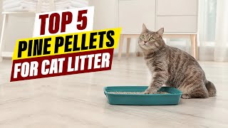 Budget-Friendly Pine Pellet Cat Litter Options