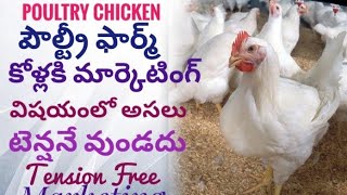 Broiler Chicken Farming | బ్రోయిలర్ చికెన్ ఫర్మింగ్