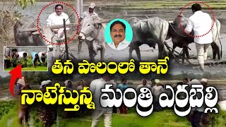 తన పొలంలో తానే నాటేస్తున్న మంత్రి ఎర్రబెల్లి | errabellidayakarrao  | JAI BHEEM TV INDIA |