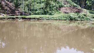 Integrated farming system (IFS) fish, duck cum paddy cultivation