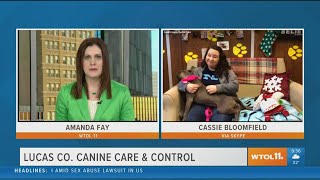 Get your dog license renewed by Jan. 31 | Your Day