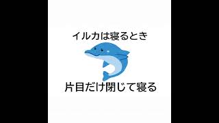 かわいい動物たちの意外と知らない雑学Part2！【雑学②】