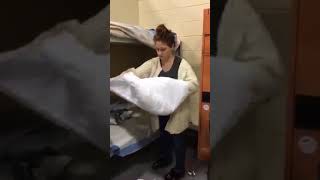 Cell Search - Brooklyn Plante