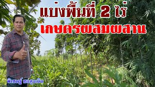 แบ่งพื้นที่2ไร่ทำเกษตรผสมผสาน มีกิน มีไม้บำนาญ พิเชษฐ์ ซอสูงเนิน | บ่าวยุทธพาจ้วด