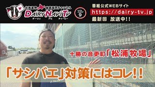 デーリィナビTV #09『サシバエ対策にはコレ!』北海道音更町　松浦牧場