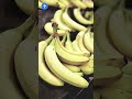 banana la இவ்ளோ varieties இருக்கா banana varieties know this shorts youtubeshorts