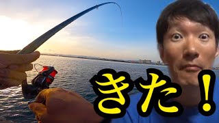 GWの浜名湖でウキダンゴ釣り。