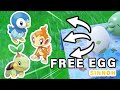 How to get Free SINNOH Egg; Chimchar, Turtwig or Piplup ► Pokemon Scarlet & Violet