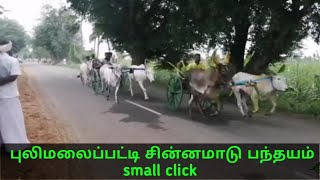 11/12/2019 *மதுரை மாவட்டம் புலிமலைப்பட்டி சின்னமாடு panthayam small click