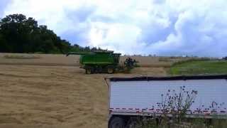 wheat harvest 2013