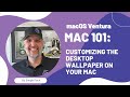 Customizing the Desktop Wallpaper on Your Mac: macOS Fundamentals