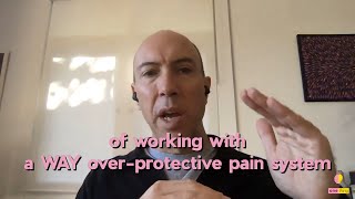 Prof Lorimer Moseley on the adaptability of our protective system - One Thing interview snippet 1