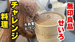 【無印良品　せいろ】チャレンジ料理　#toypoodle  #dog  #犬　#トイプードル