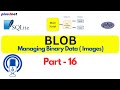 Working with BLOB Data in SQLite Using PHP PDO | Storing and Retrieving Files #sqlite #sqliteBlob