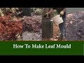 How to Make Leaf Mold - Natures Own Fertilizer - Quick and Easy Method Step By Step WITH RESULTS