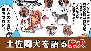 土佐闘犬のルーツを語る柴犬【世界の終わりに柴犬と切り抜き / アニメ / 漫画】