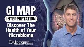 GI MAP Interpretation:  Discover the Health of Your Microbiome
