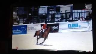 Daddy DJ- Campeonato De España 2013- Prueba Equipos Ponis C