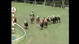 第37回　阪急杯 （ＧⅢ）　レガシーフィールド　牝5　53　佐藤哲三　1993.6.6　　出走馬：ナリタフジヒメ、ナリタチカラ、バトルタイクーン、トシグリーン、パワーウイナー、ワンダーブラスト他