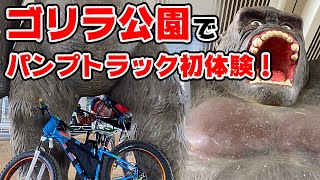 ファットバイクでゴリラ公園に行ってきた！パンプトラック初体験！