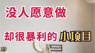 2023最新火爆网赚项目，不为人知却很暴利的小项目，普通人也可以日赚800元～3500元，负债翻身学员仅仅用了6个月就还清所有欠款，正规网络居家挣钱方法，打破固定思维负债的人一定不要继续跟别人打工！