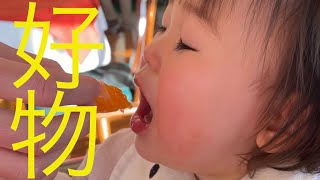 大好きなみかんに喜ぶ食いしん坊　#1歳3ヶ月