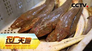 《农广天地》 鱼滋鱼味莱州湾 20180614 | CCTV农业