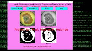 Fruit Disease Classification Using CNN Python Code | Fruit Disease Analysis Using Neural Network