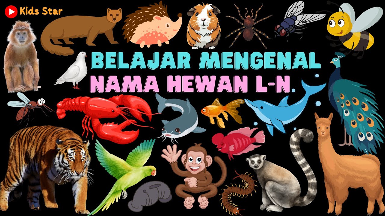 BELAJAR TEBAK NAMA BINATANG HEWAN L-N DALAM BAHASA INDONESIA BAHASA ...