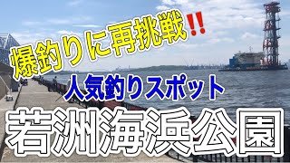 【釣れない釣り人】前回爆釣りをした若洲海浜公園で再挑戦！！