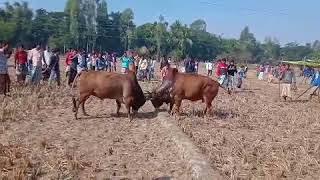 🔥 চট্রগ্রাম চকরিয়ার গরম মাইর 🔥