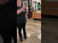 angry subway manager