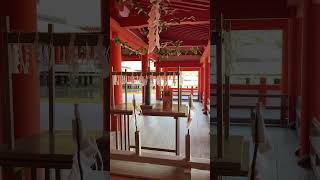 金運上昇　お祓い　浄化　一万人に一人しか見えません【厳島神社遠隔参拝】　#瀬織津姫 #開運スポット  #遠隔参拝 #スピリチュアル #金運上昇