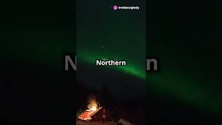 Norwegian