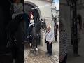 MOMENT Woman Kisses The King’s Guard Horse