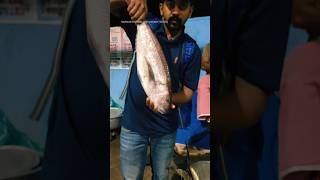 आपलोग बताईऐ कौनसी मछली है! #fish #fishvideo #fishing #fishtank #fishshorts #viral