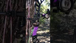 Conquest Archery / Black Eagle Talon 5+2 Quiver